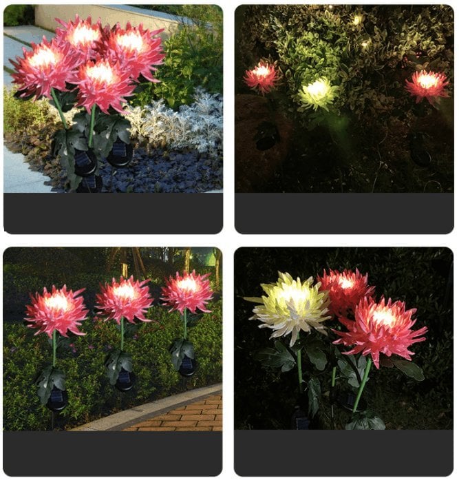 Chrysantheme Solar Gartenpfahl LED