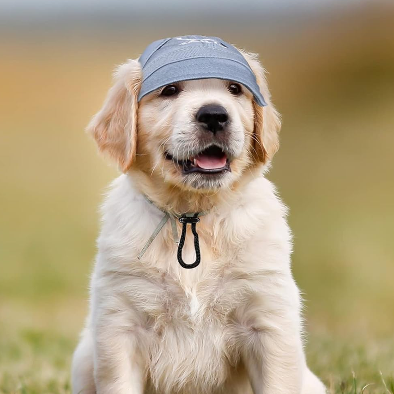 Outdoor-Sonnenschutzhaube für Hunde