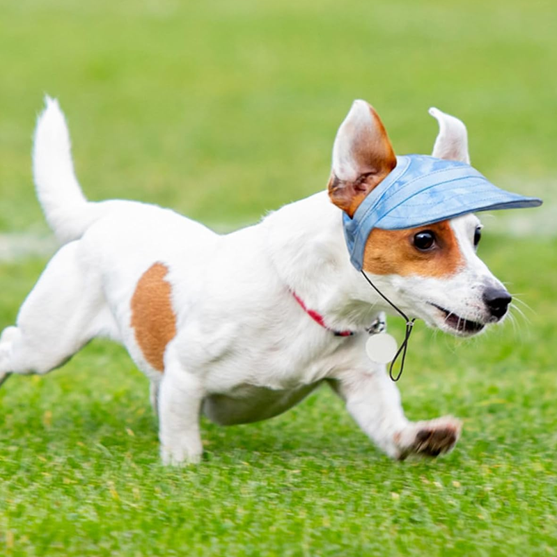 Outdoor-Sonnenschutzhaube für Hunde