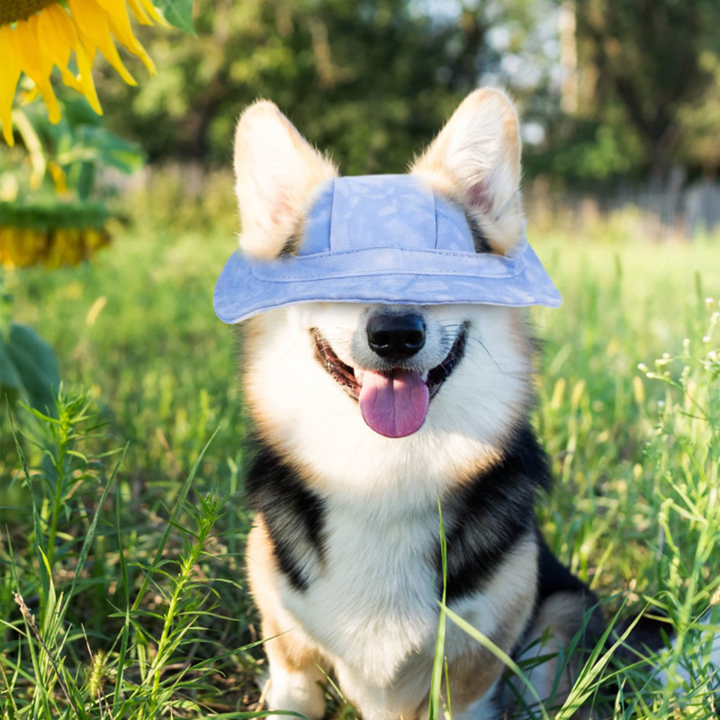 Outdoor-Sonnenschutzhaube für Hunde