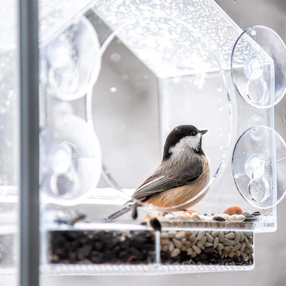 Birdy® Vogelfutterhaus am Fenster | 50% RABATT