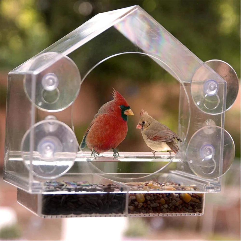 Birdy® Vogelfutterhaus am Fenster | 50% RABATT