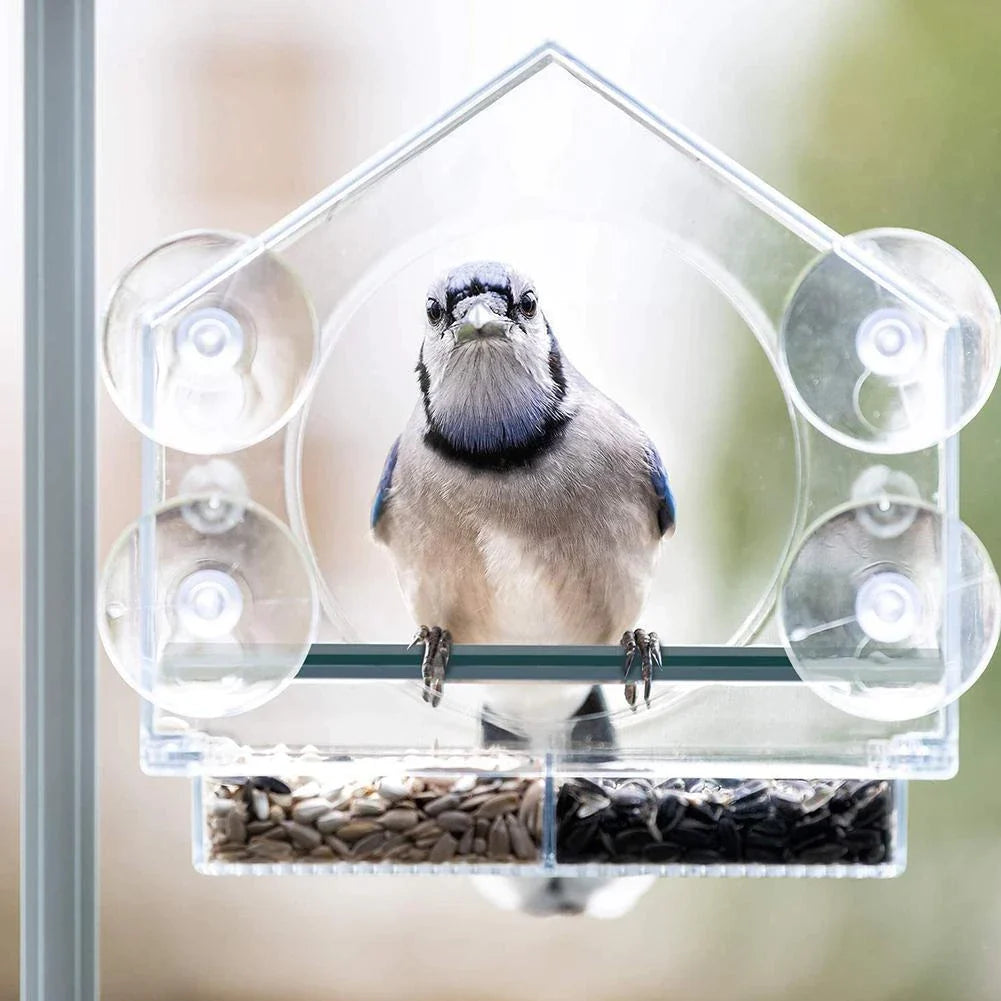 Birdy® Vogelfutterhaus am Fenster | 50% RABATT