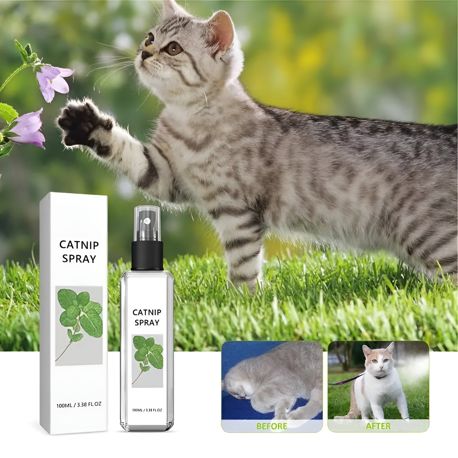 KatzenMagnet Spray - Bringt Ihre Katze dazu, ihr neues Bett sofort zu lieben | 1+1 GRATIS