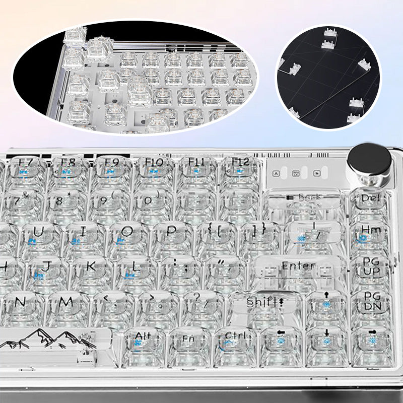 Universal transparente mechanische Tastatur mit RGB Hintergrundbeleuchtung