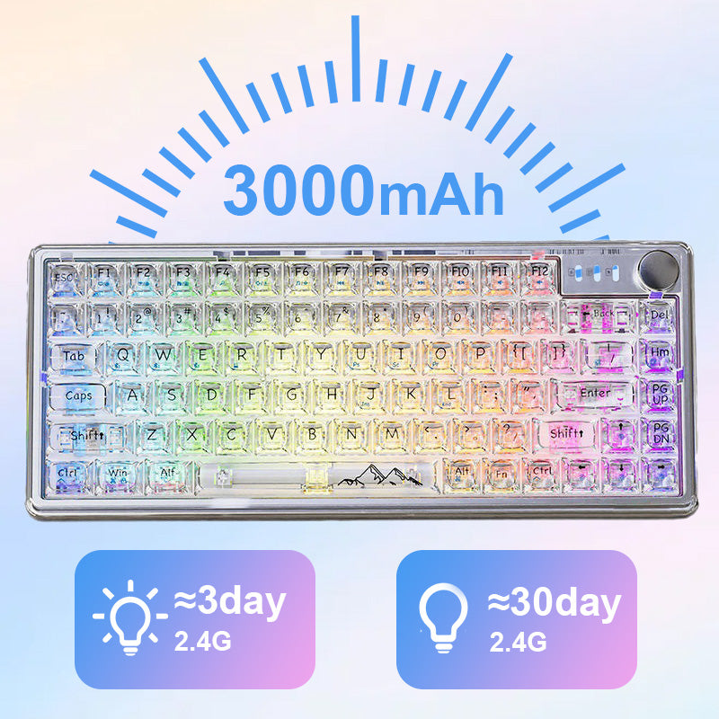 Universal transparente mechanische Tastatur mit RGB Hintergrundbeleuchtung